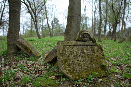 Remains of the old jewish cemetery in Wola Michowa, Bieszczady Mountains, Poland photo