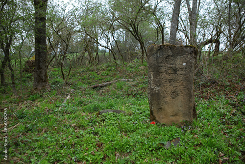 Remains of the old jewish cemetery in Wola Michowa, Bieszczady Mountains, Poland