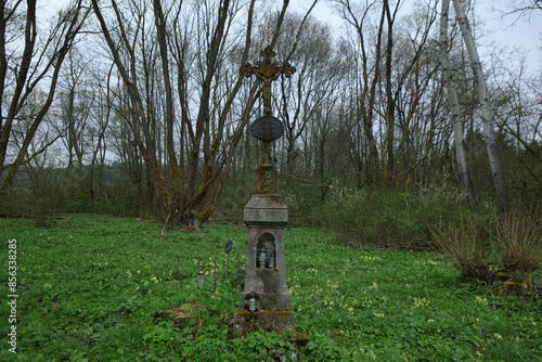 Remains of the old cemetery in Wola Michowa, Bieszczady Mountains, Poland