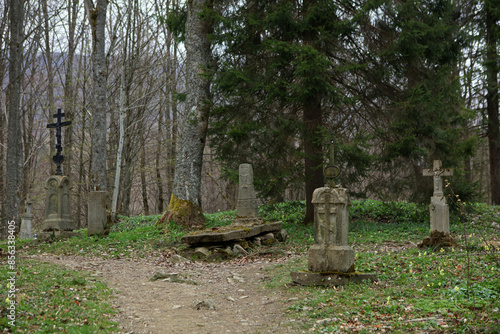 Remains of the old cemetery and  Orthodox church in Brzegi Gorne, Bieszczady Mountains, Poland, 