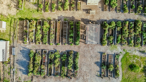 Obraz na płótnie Covered pergola, greenhouse and row of wooden and metal raised beds, storage she