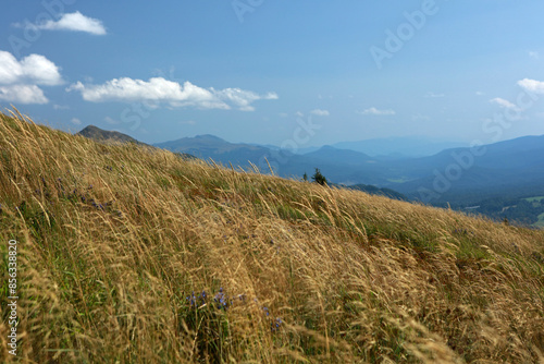 Polonina Wetlinska in Bieszczady Mountains, Poland photo