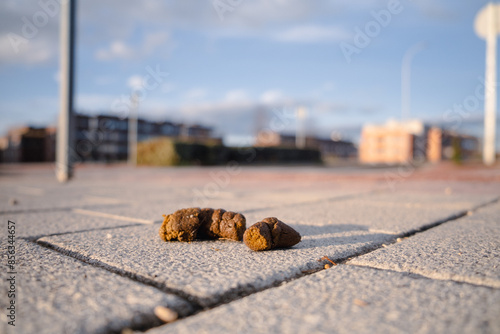 Foto Close-up of a dog poop in the middle of the sidewalk with a blurred city in the background at dawn