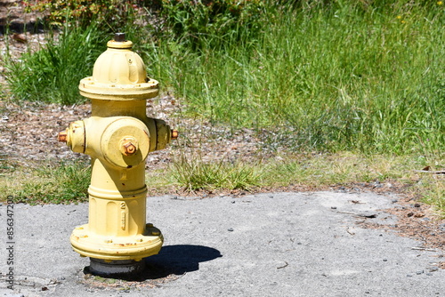 Yellow fire hydrant on the beach. photo