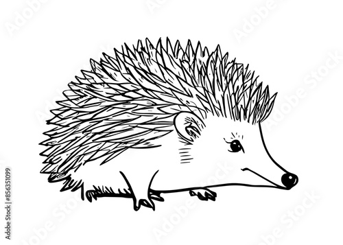 Hedgehog, simple thick black lines, coloring page for kids, vector illustration.