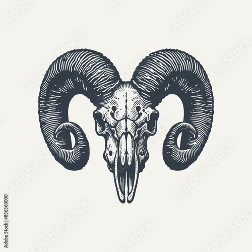 Wild Ram Skull. Vintage woodcut engraving style vector illustration.ai