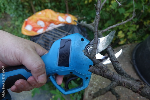 Wallpaper Mural Pruning trees with electric pruning shears branch cutter automatic with battery to easyprune branches of trees. Gardening electric tool equipment. Torontodigital.ca