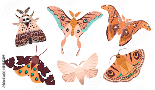 Vector set of celestial moths isolated on white background.Colorful magic insects with floral and animal ornament.Mystic symbols and occult signs.Design for boho posters,magical cards,stickers.