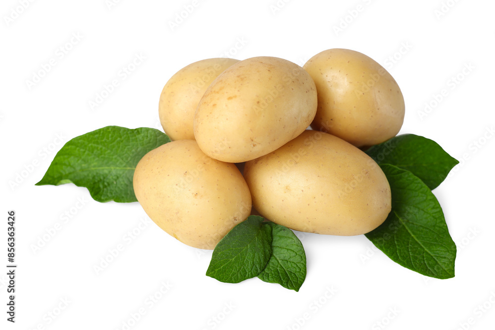 Fresh raw potatoes and green leaves isolated on white Fresh raw potatoes and green leaves isolated on white