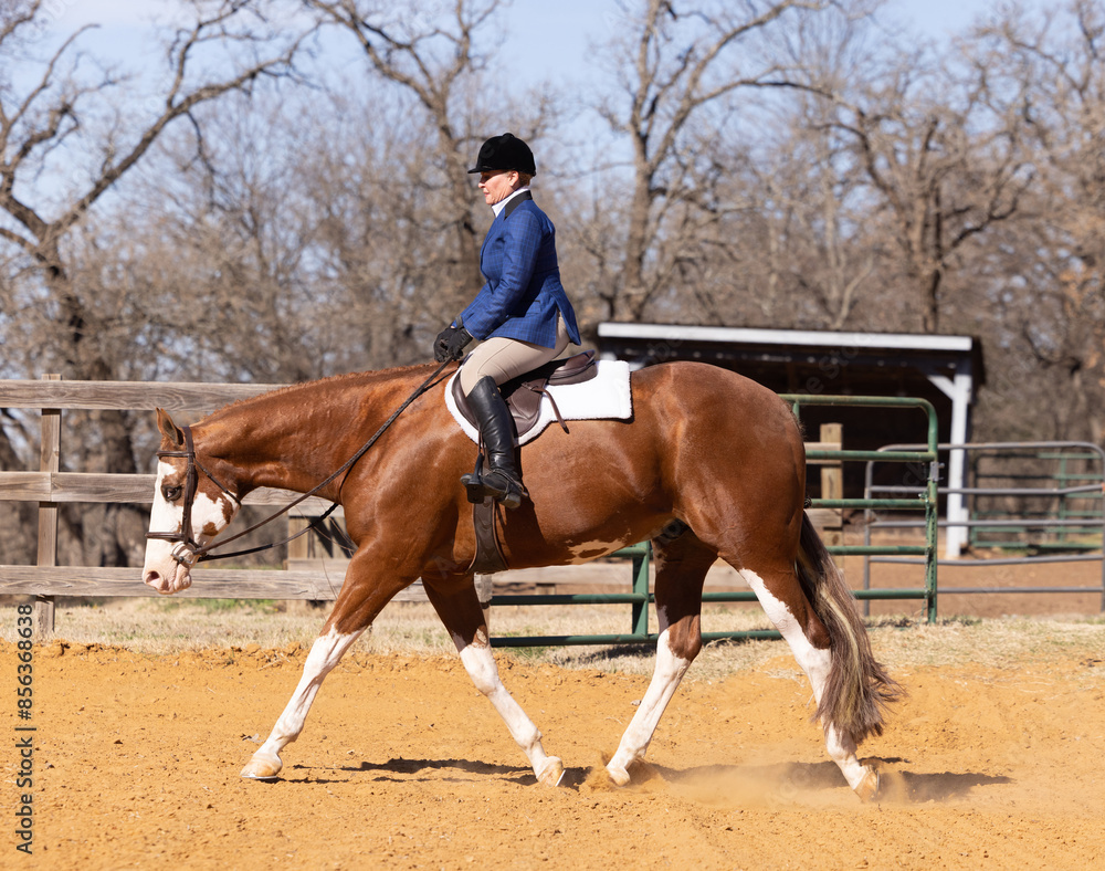 Saddle Ride Women Equestrian riding in An english Saddle on Paint Horse hunter ...