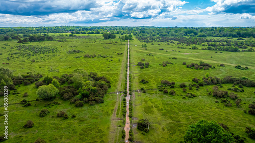 Aerial view of forest near Brockenhurst, the largest village by population within the New Forest in Hampshire, England