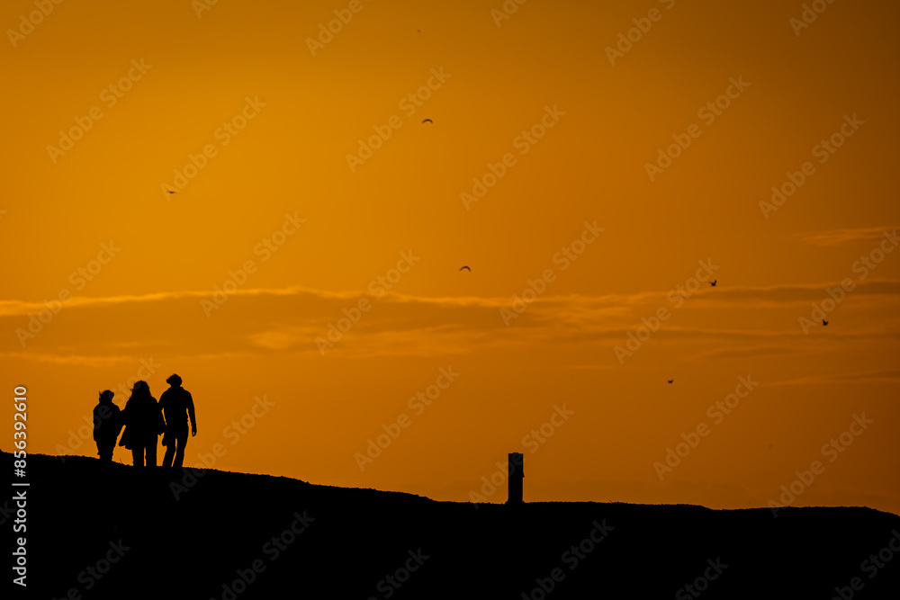 Naklejka premium Family walking into orange sunset