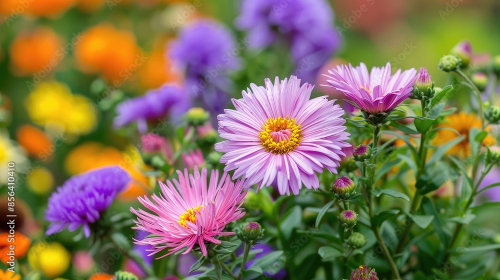 A colorful garden with a variety of flowers including purple and pink. The flowers are in full bloom and the garden is vibrant and lively A colorful garden with a variety of flowers including purple and pink. The flowers are in full bloom and the garden is vibrant and lively