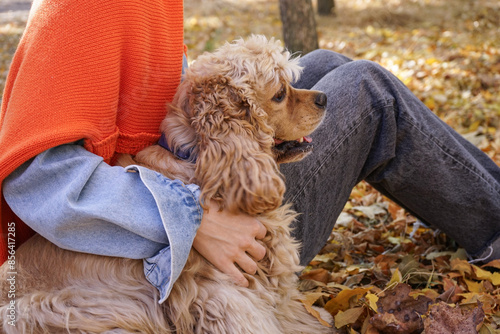 Obraz na płótnie Cute cocker spaniel dog with owner in autumn park