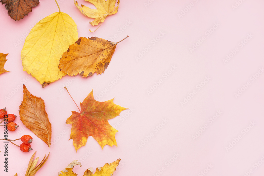 Fototapeta premium Autumn leaves with viburnum berries on pink background