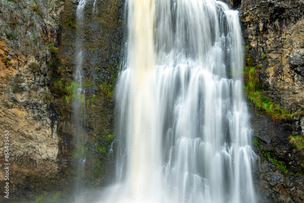 Fototapeta premium Hunua Falls - New Zealand