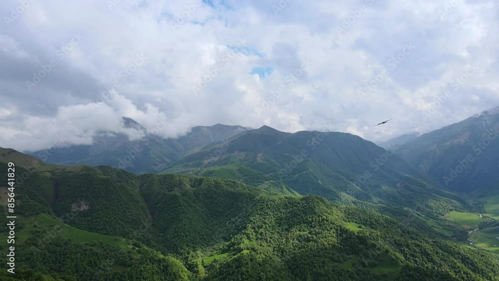 Scenic landscape of mountains with lush green hills and soaring bird in a serene setting Scenic landscape of mountains with lush green hills and soaring bird in a serene setting