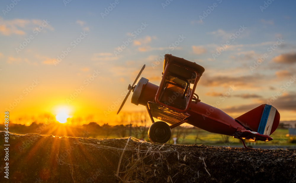 Fototapeta premium Sunrise Red Plane
