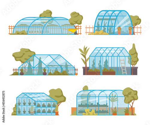 Set of botanical garden. Concept of home gardening. Modern flat vector illustration, green leaves, foliage plants, Greenery, orangery, nature in glasshouses, home gardening vector illustration.
