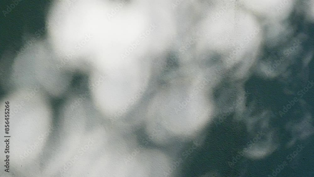 キラキラと壁に落ちる木漏れ日　夏の強い日差しと木陰　風に揺れる木の葉の影　暑い光と強い日光　夏・日焼け・紫外線・夏休み・バカンス・森・街の風景