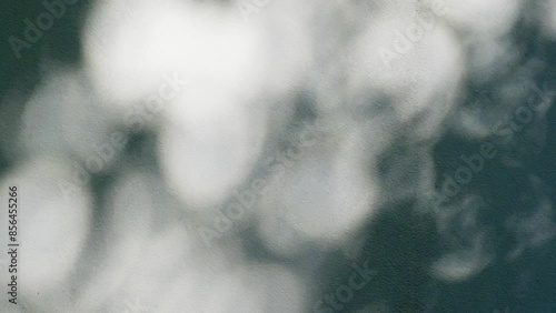 キラキラと壁に落ちる木漏れ日　夏の強い日差しと木陰　風に揺れる木の葉の影　暑い光と強い日光　夏・日焼け・紫外線・夏休み・バカンス・森・街の風景