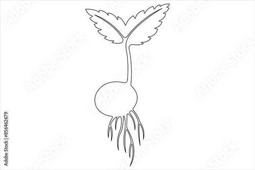 One continuous line drawing Plant growth process 