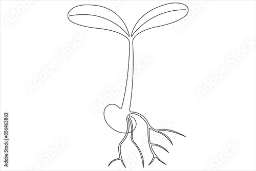 One continuous line drawing Plant growth process 