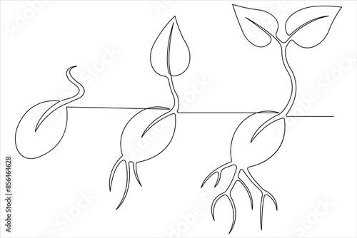 One continuous line drawing Plant growth process 