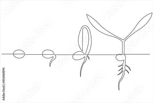 One continuous line drawing Plant growth process 