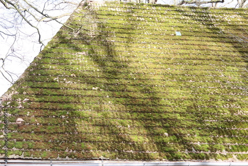 The roof, covered in moss, bathed in spring sunlight, looks mesmerizing and picturesque photo