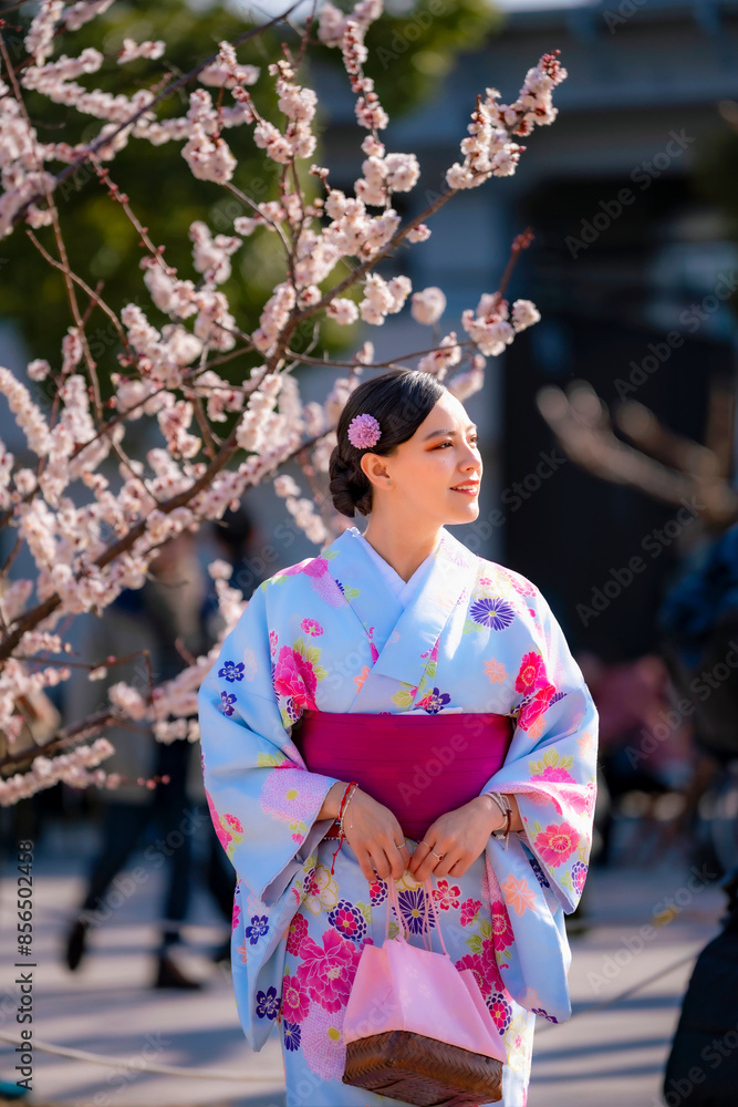 Young Latina woman in a colorful kimono admiring cherry blossoms in Tokyo, Japan, enjoying the beauty of springtime. Young Latina woman in a colorful kimono admiring cherry blossoms in Tokyo, Japan, enjoying the beauty of springtime.