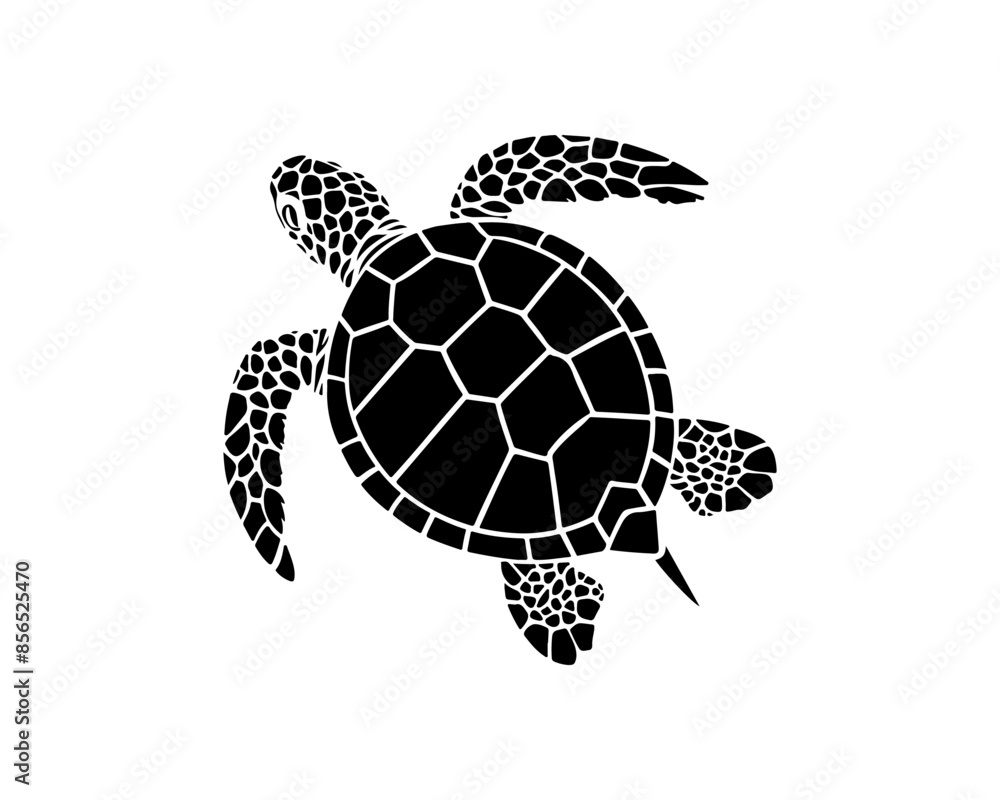 Obraz premium graphic sea turtle,vector illustration of sea turtle,vector of turtle design on a white background,save a turtle.