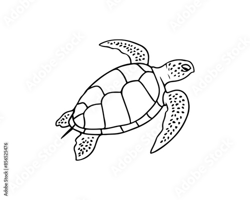 Vector isolated cute cartoon swimming sea turtle colorless black and white contour line drawing, sea turtle silhouette 