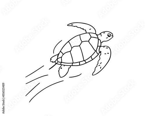 Vector isolated cute cartoon swimming sea turtle colorless black and white contour line drawing, sea turtle silhouette 