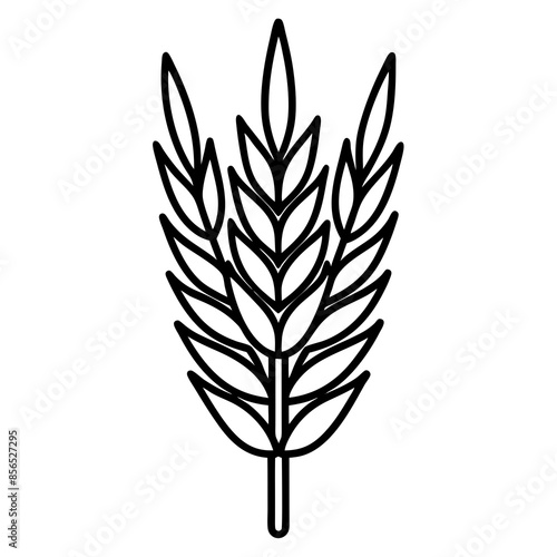 autumn and fall theme, line illustration of wheat