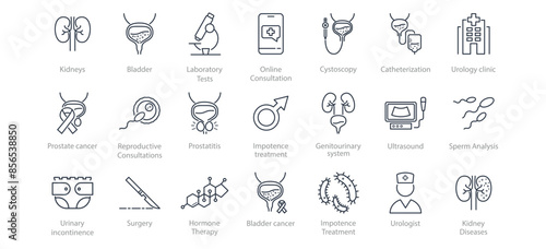 Set of line icons urology clinic. Kidneys, bladder,catheter, cystoscope, hormones, testosterone, impotence, spermogram, prostatitis, surgery, bacteria, urologist, urinary incontinence, fertilization