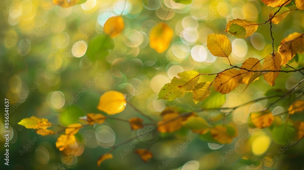 Obraz premium Blurred sight of g leaves rustling in the wind