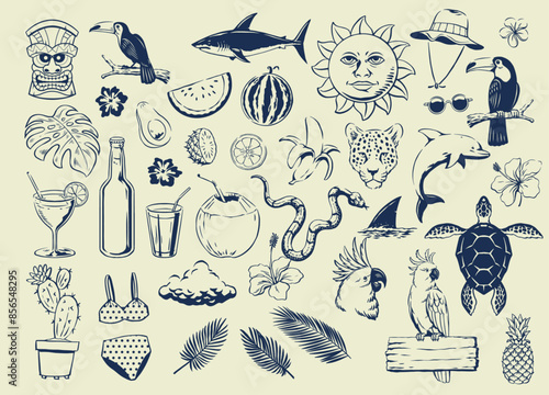 Big Summer Set of Object and Element in Hand Drawn Vintage