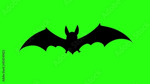 Bat flying animation green screen loop