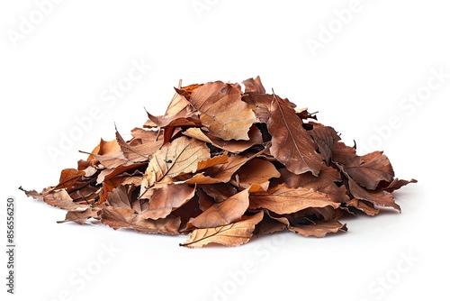 Heap of fallen dry leaves for organic fertilizer isolated on a white background