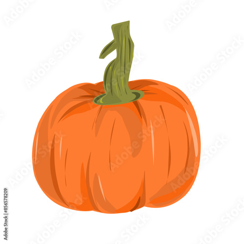 Εκτύπωση καμβά pumpkin isolated on white,Vector art orange pumpkin flat design illustration