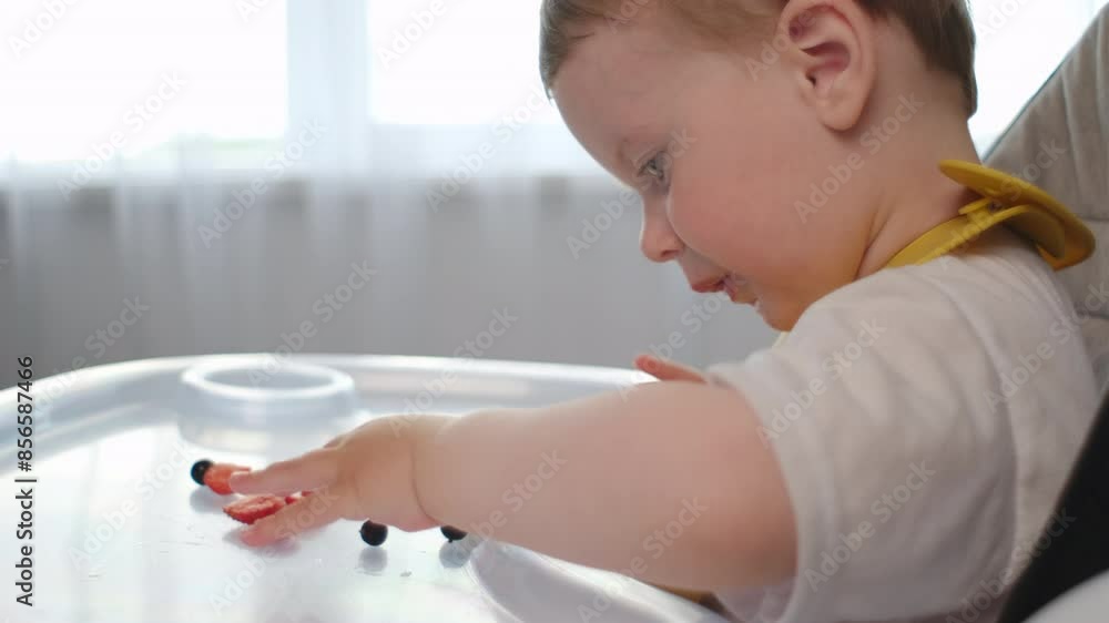 Side view of cute little caucasian boy in high chair eats fresh strawberries and blueberry. Introduction of complementary foods, allergens. Childhood and food concept Side view of cute little caucasian boy in high chair eats fresh strawberries and blueberry. Introduction of complementary foods, allergens. Childhood and food concept