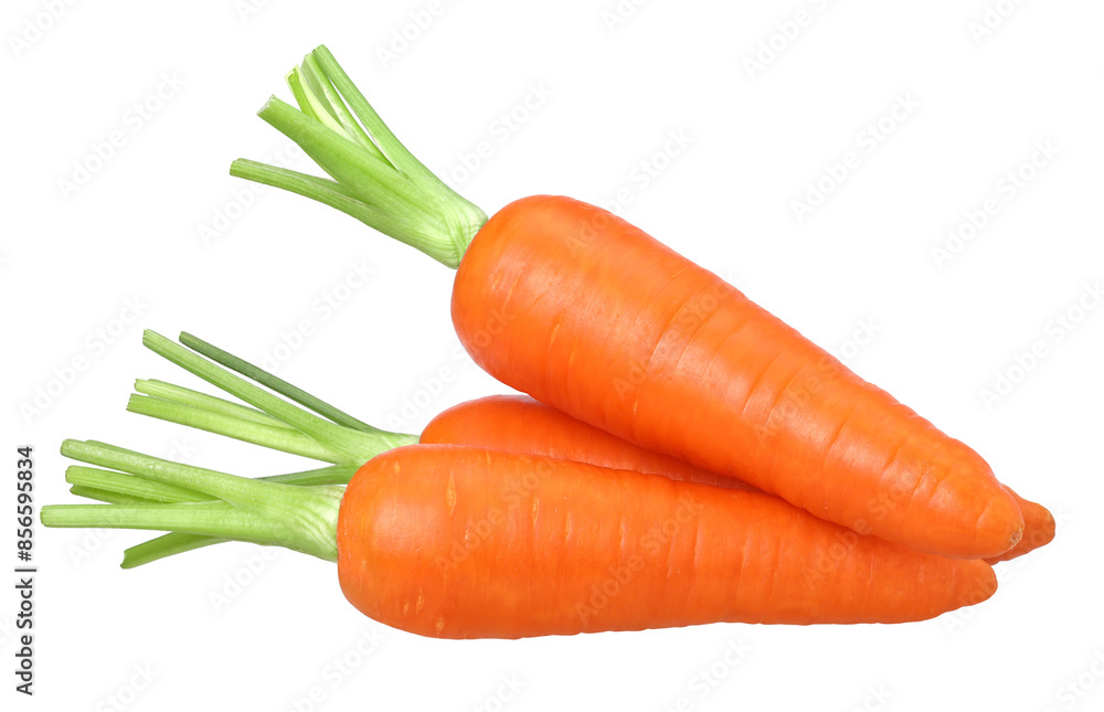 pile of fresh carrots isolated, carrot macro studio photo, transparent PNG , PNG format, cut out pile of fresh carrots isolated, carrot macro studio photo, transparent PNG , PNG format, cut out