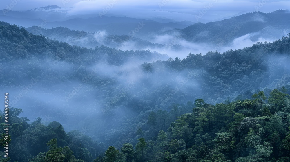 Mountains covered in a blanket of morning mist, dense forest hidden beneath fog, raw style, serene and atmospheric, detailed nature Mountains covered in a blanket of morning mist, dense forest hidden beneath fog, raw style, serene and atmospheric, detailed nature