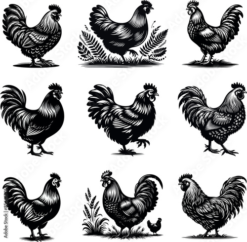 Set of hen chicken vector silhouettes rooster poultry farm, egg, meat, broiler icon clipart illustration
