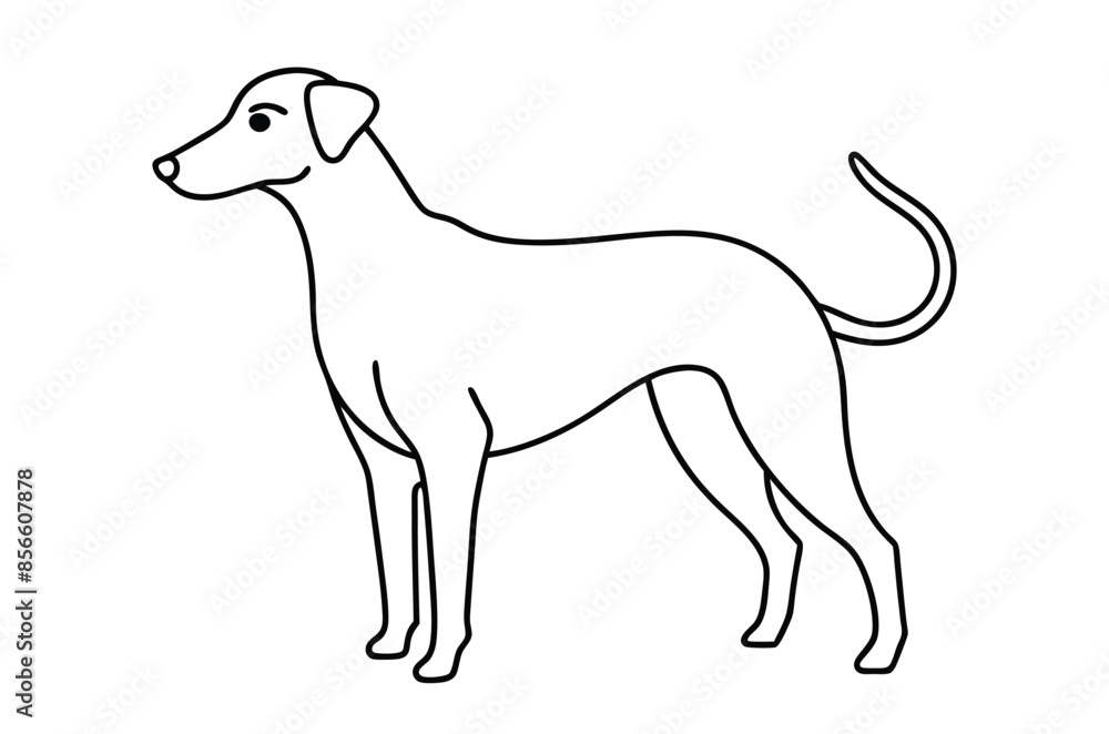 Dog Line art Drawing, continuous line drawing of dog, dogs vector Dog Line art Drawing, continuous line drawing of dog, dogs vector