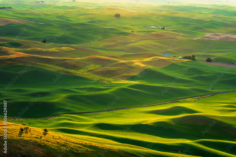 Obraz premium Rolling hills of the Palouse seen from Steptoe Butte