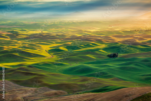 Dramatic morning light on the rolling hills of the Palouse seen from Steptoe Butte photo