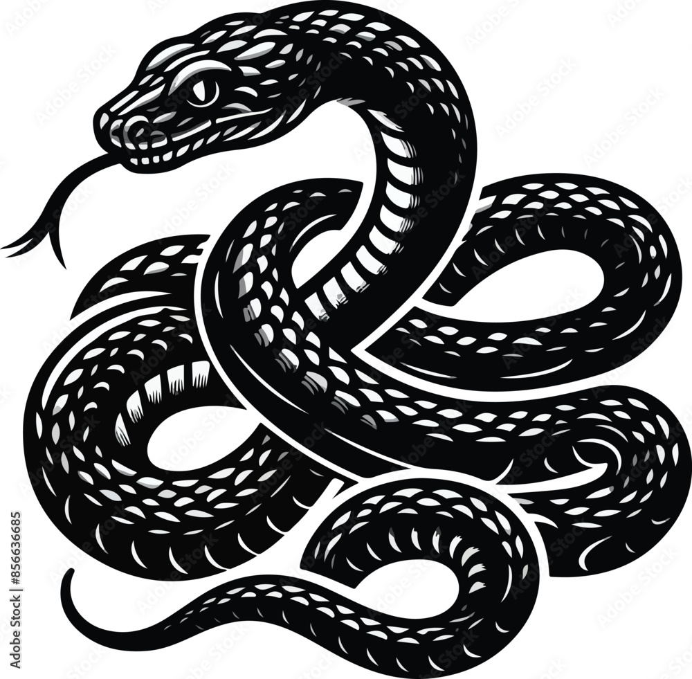 Snake vector illustration Snake vector illustration
