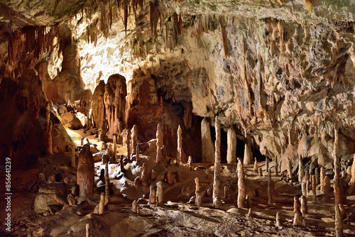 Quadro em tela Postojna Cave is the most captivating cave in the world